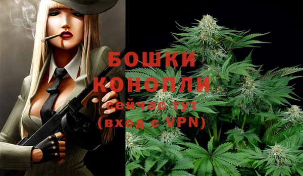 прущая мука Горняк