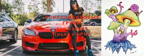 прущая мука Горняк