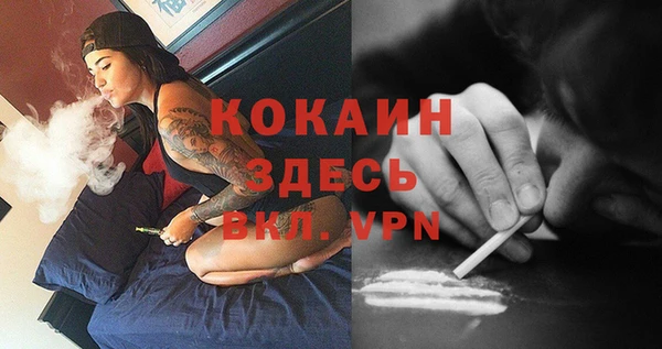 прущая мука Горняк