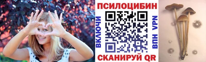 блэк спрут вход Кызыл Псилоцибиновые грибы мухоморы